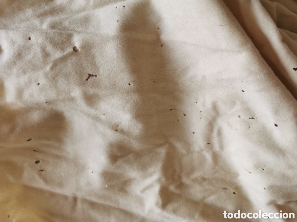 Antig&uuml;edades: capa mujer ppio XX deteriorada - Foto 5