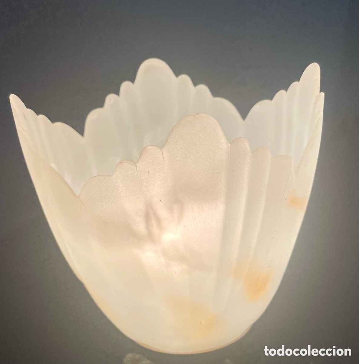Antig&uuml;edades: Tulipa con forma de tulip&aacute;n - Foto 1