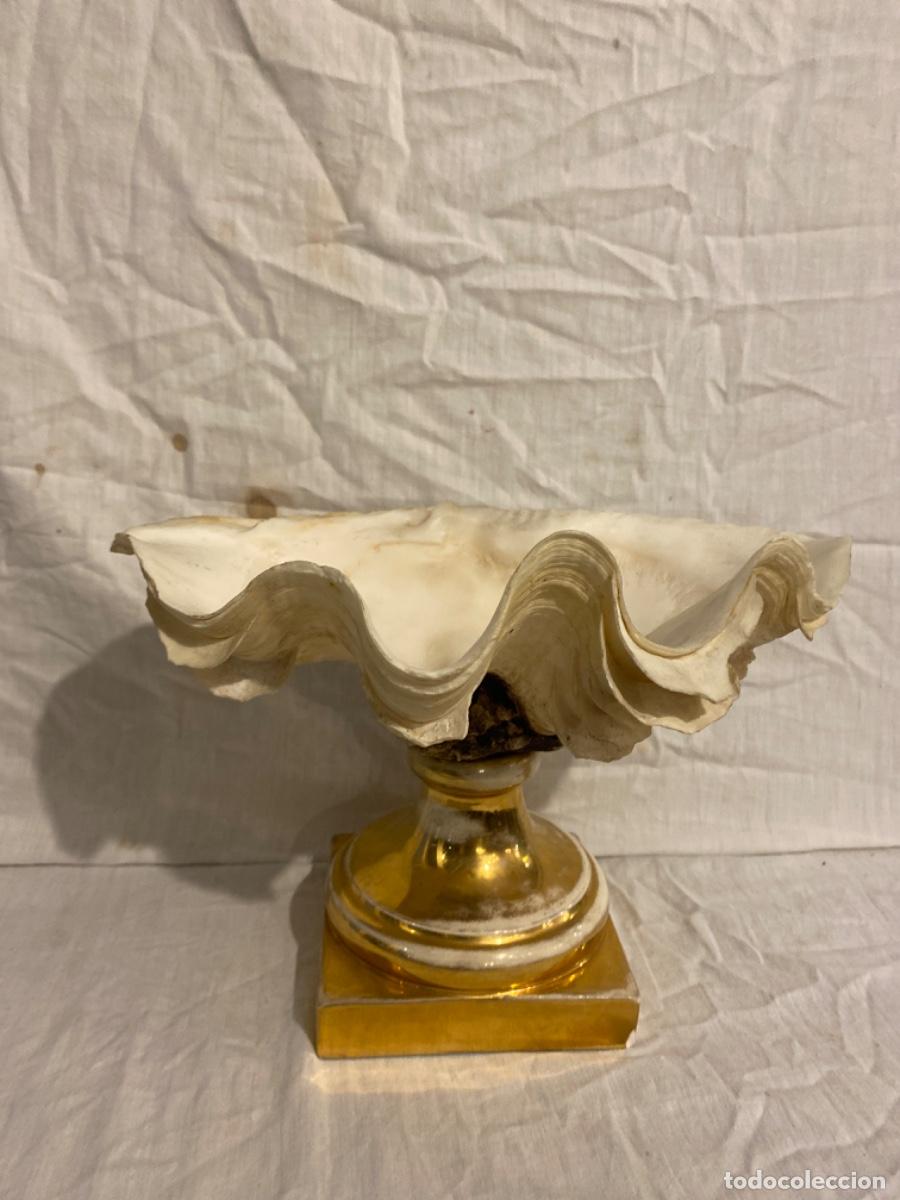 Antig&uuml;edades: CONCHA DE LOS MARES DEL SUR CON PIE DE PORCELANA. - Foto 1