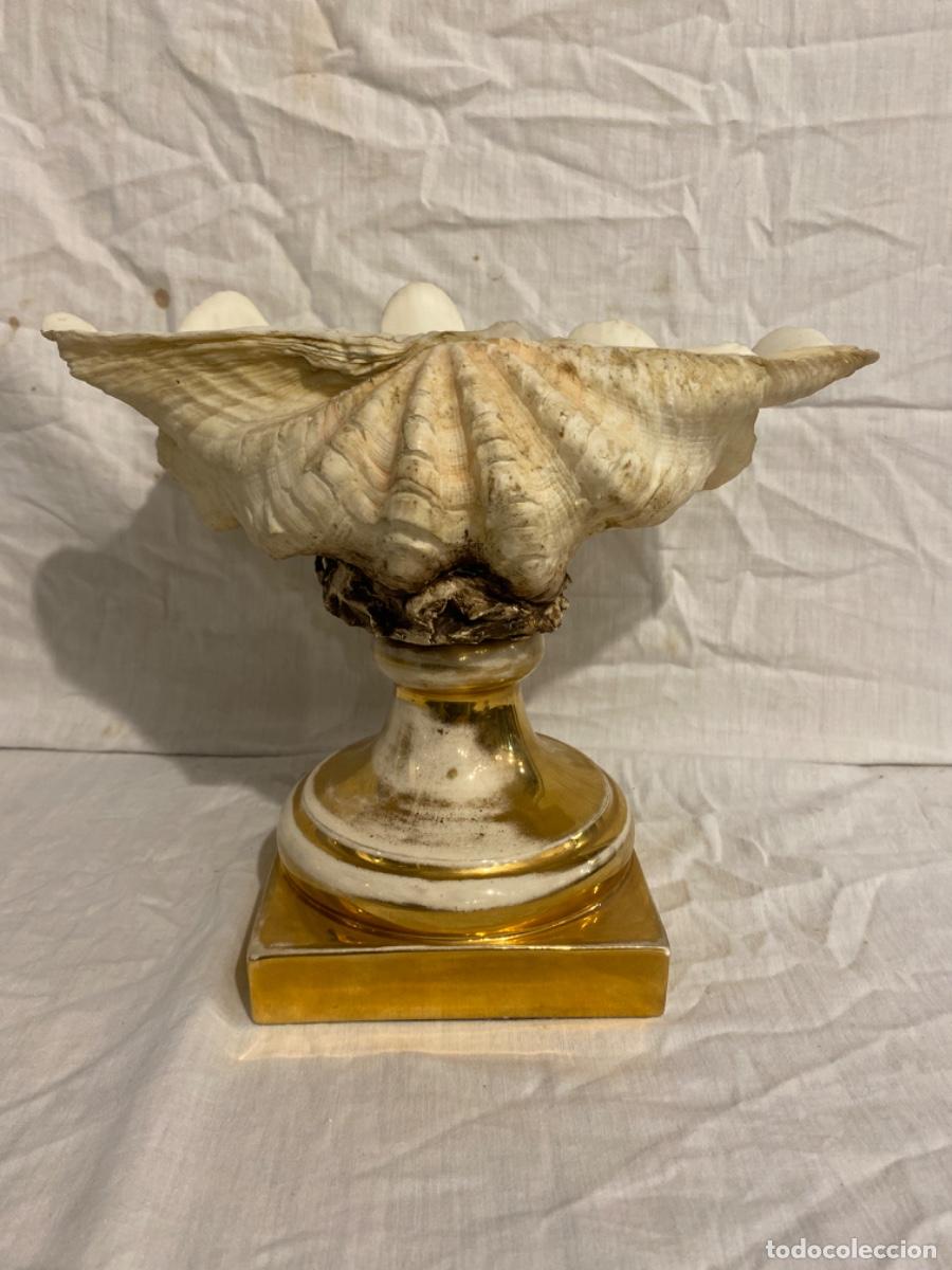 Antig&uuml;edades: CONCHA DE LOS MARES DEL SUR CON PIE DE PORCELANA. - Foto 6