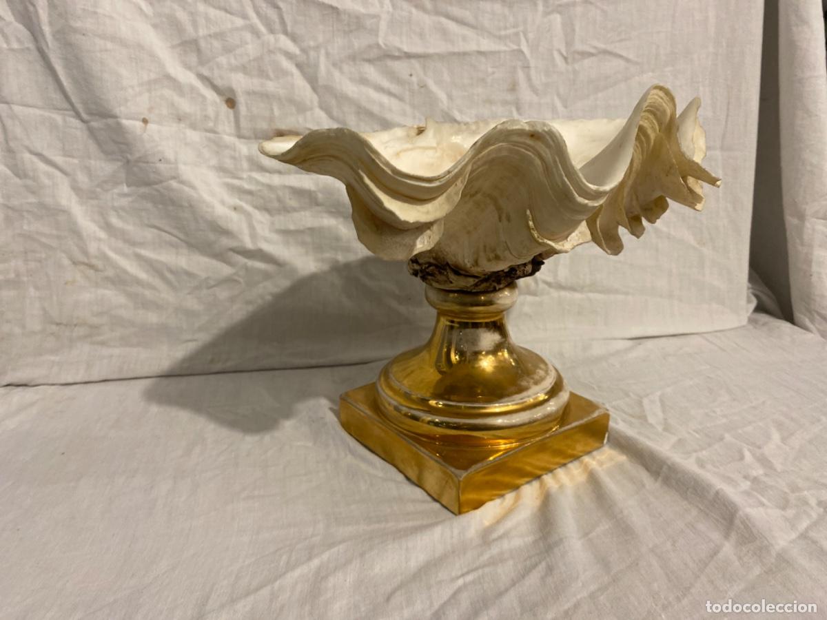 Antig&uuml;edades: CONCHA DE LOS MARES DEL SUR CON PIE DE PORCELANA. - Foto 8