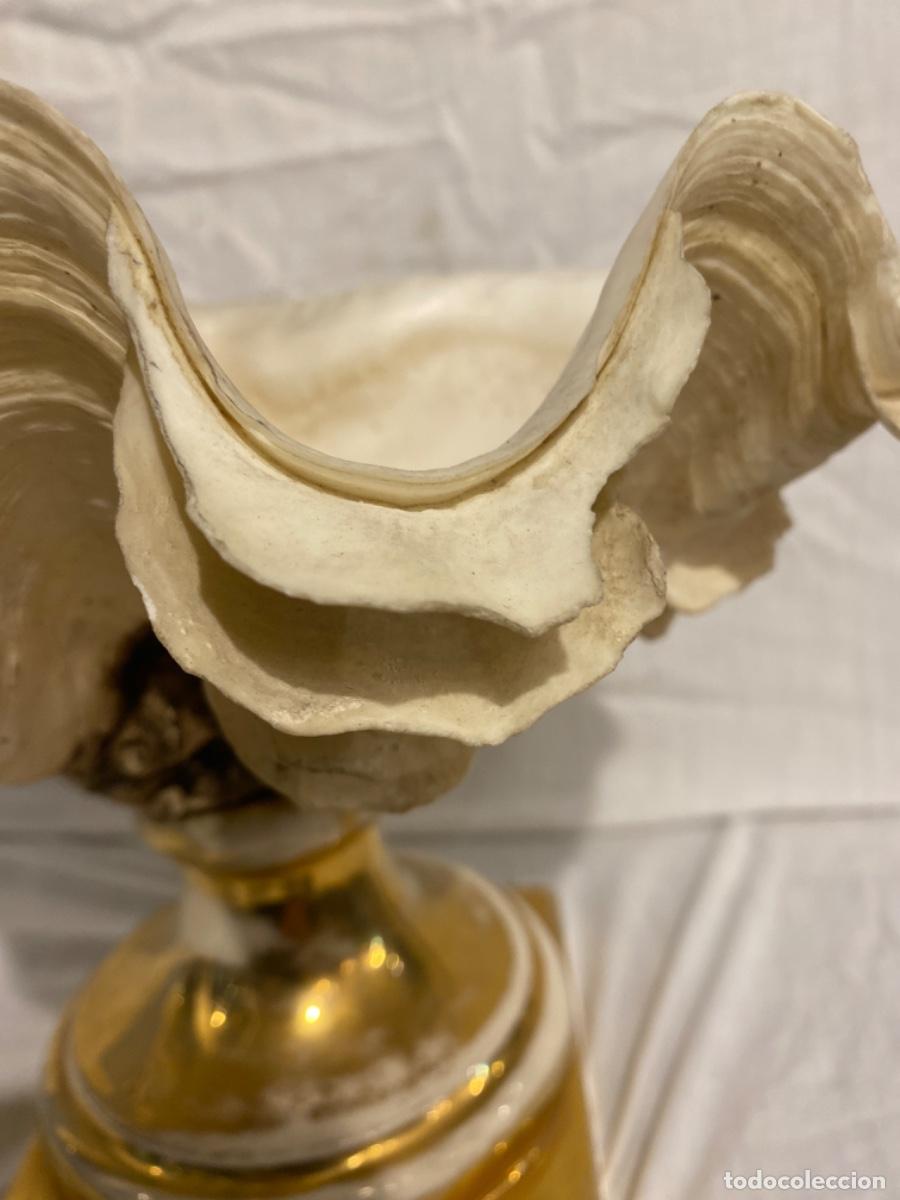 Antig&uuml;edades: CONCHA DE LOS MARES DEL SUR CON PIE DE PORCELANA. - Foto 9
