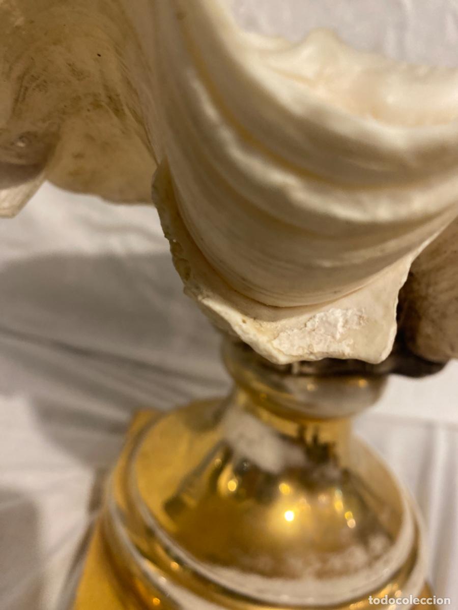 Antig&uuml;edades: CONCHA DE LOS MARES DEL SUR CON PIE DE PORCELANA. - Foto 10
