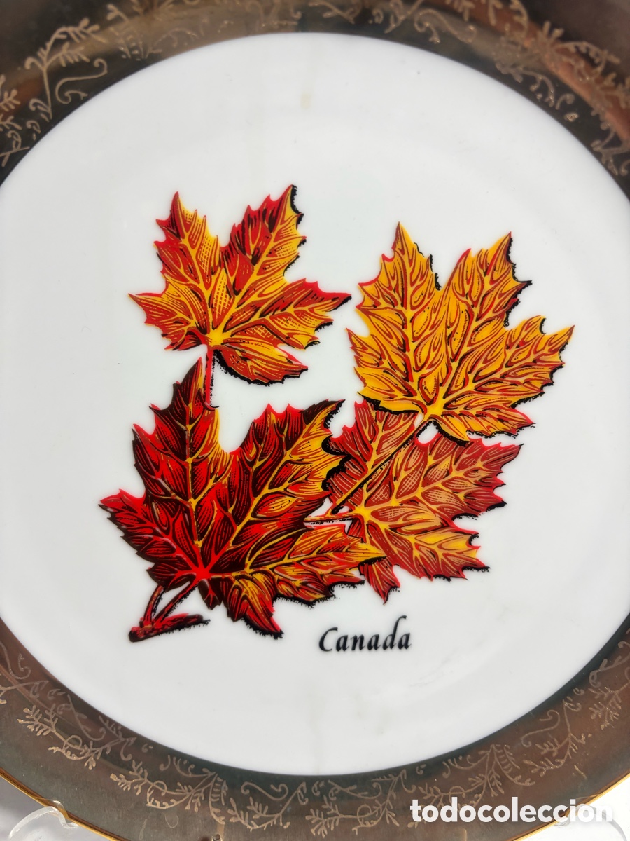 Antig&uuml;edades: Platos, recuerdos de Canad&aacute; - Foto 2