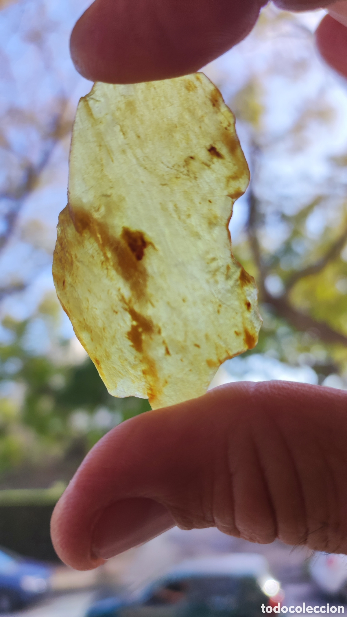 Antig&uuml;edades: Preciosa libianita tectita - Foto 1