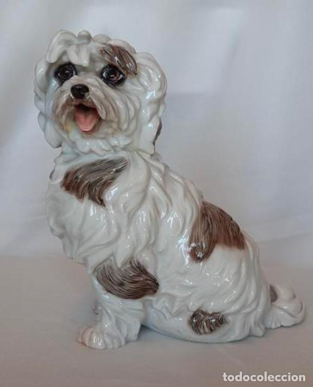 Antig&uuml;edades: Perro Caniche &ndash; Algora - Foto 1