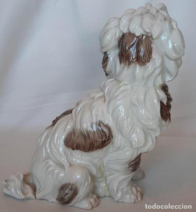 Antig&uuml;edades: Perro Caniche &ndash; Algora - Foto 2