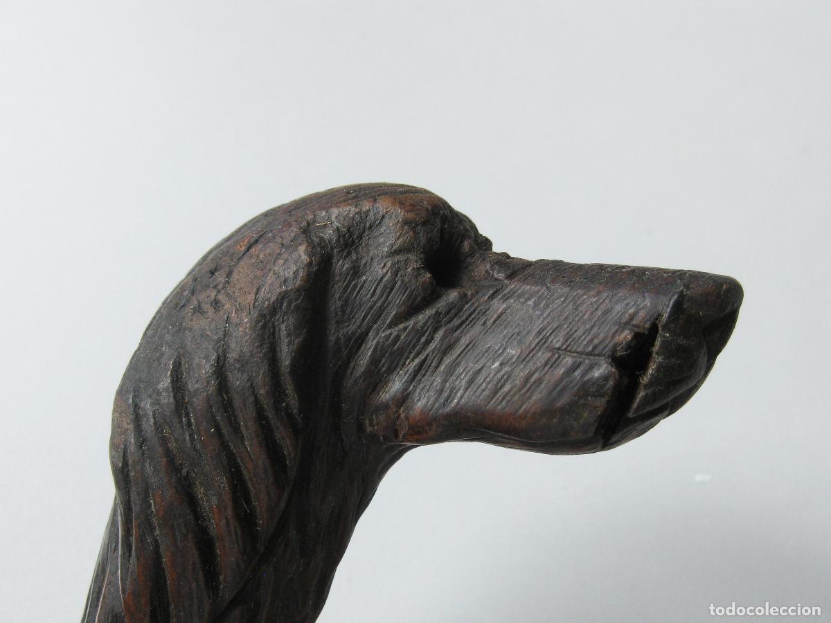 Antig&uuml;edades: ANTIGUO MANGO DE BAST&Oacute;N CON FORMA DE CABEZA DE PERRO TALLADA EN MADERA - Foto 2