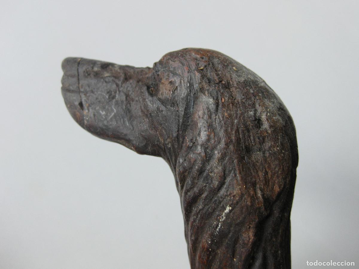 Antig&uuml;edades: ANTIGUO MANGO DE BAST&Oacute;N CON FORMA DE CABEZA DE PERRO TALLADA EN MADERA - Foto 4