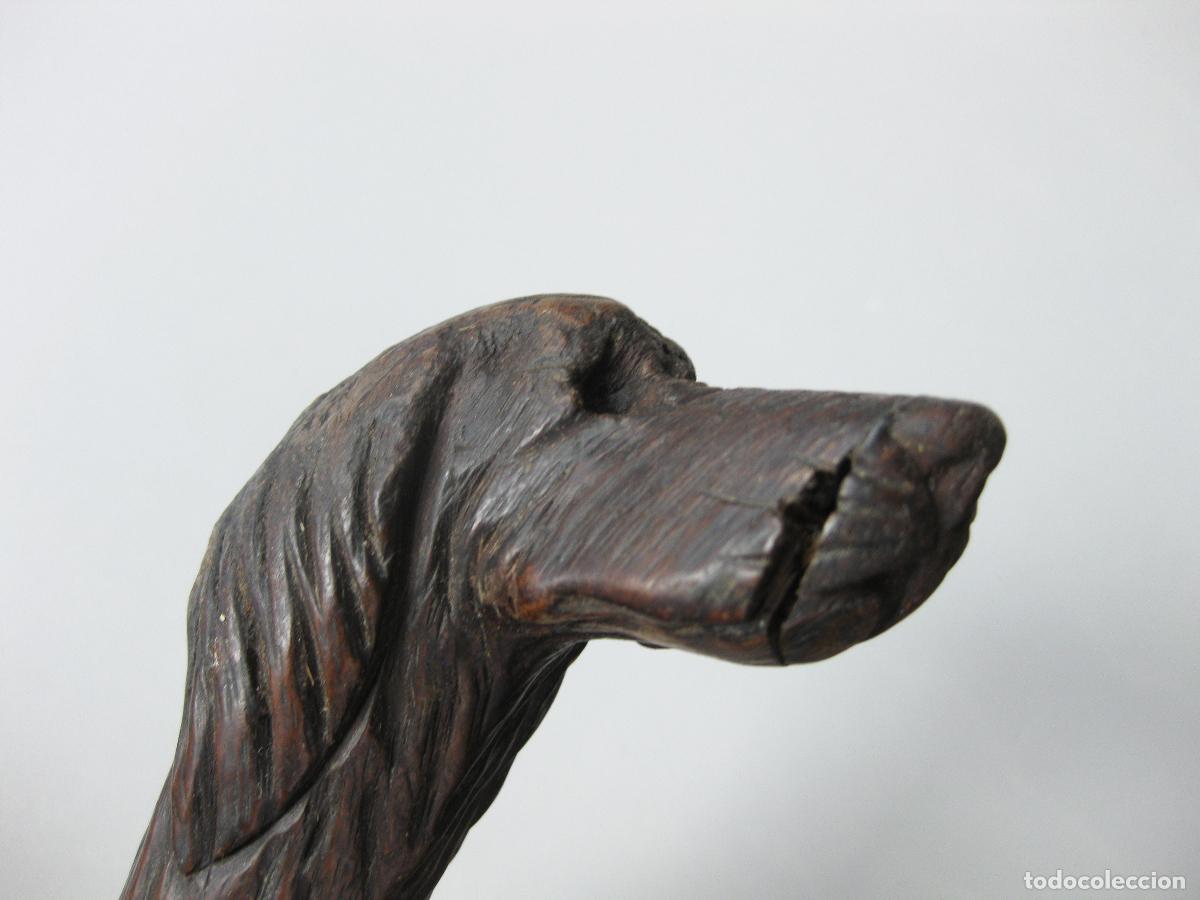 Antig&uuml;edades: ANTIGUO MANGO DE BAST&Oacute;N CON FORMA DE CABEZA DE PERRO TALLADA EN MADERA - Foto 5