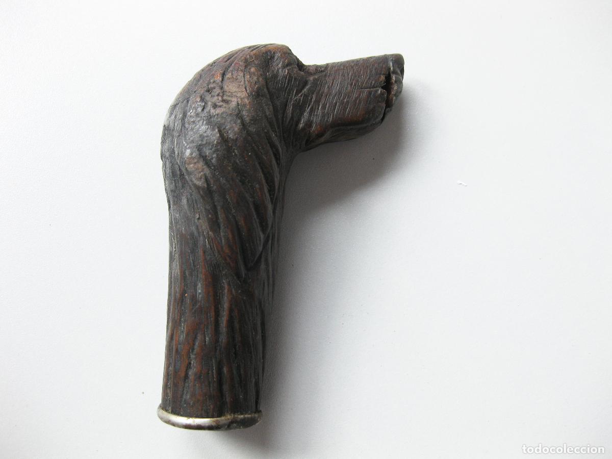 Antig&uuml;edades: ANTIGUO MANGO DE BAST&Oacute;N CON FORMA DE CABEZA DE PERRO TALLADA EN MADERA - Foto 1