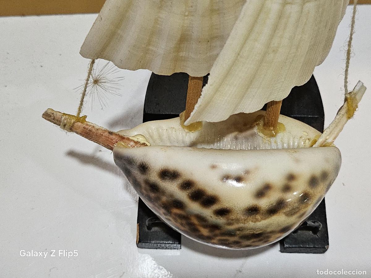 Antig&uuml;edades: baco en caracola y concha - Foto 4