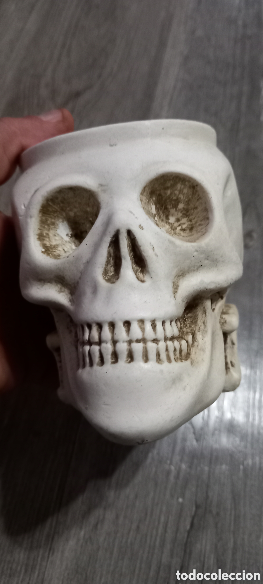 Antig&uuml;edades: PARAJE DE TAZAS CALAVERA - Foto 8