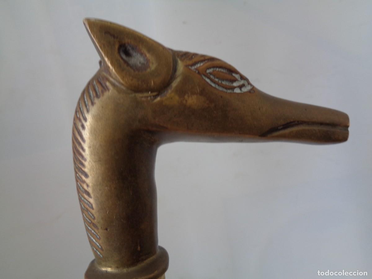 Antig&uuml;edades: &iexcl;&iexcl; Perro GALGO. Mango d BASTON. BRONCE - ANTIGUO. !! C-6. - Foto 2