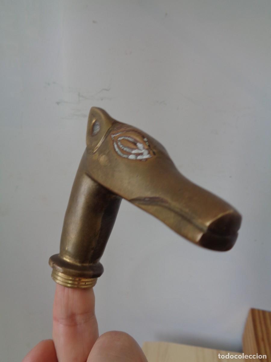 Antig&uuml;edades: &iexcl;&iexcl; Perro GALGO. Mango d BASTON. BRONCE - ANTIGUO. !! C-6. - Foto 13