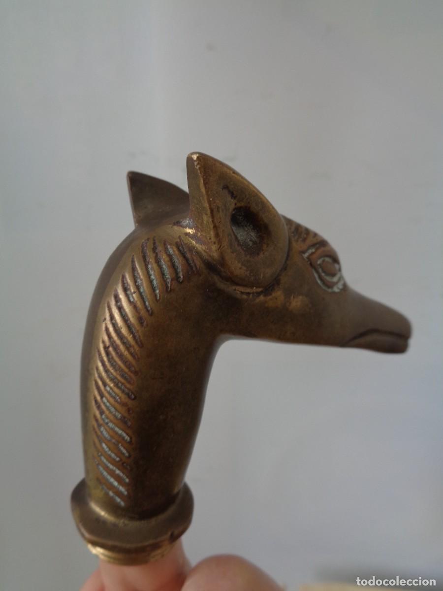 Antig&uuml;edades: &iexcl;&iexcl; Perro GALGO. Mango d BASTON. BRONCE - ANTIGUO. !! C-6. - Foto 14