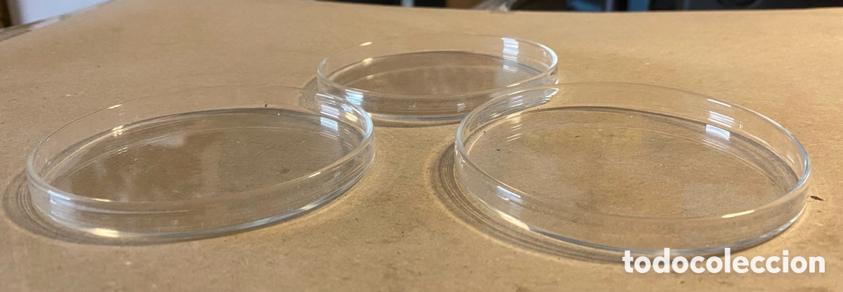Antig&uuml;edades: CONJUNTO DE 3 PLACAS DE PETRI. MATERIAL DE LABORATORIO. - Foto 2