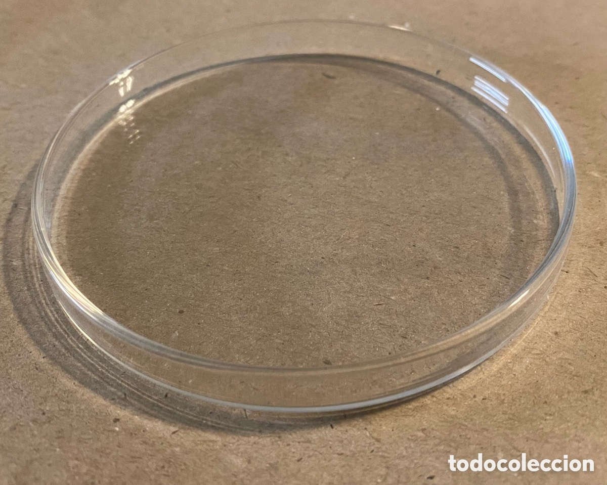 Antig&uuml;edades: CONJUNTO DE 3 PLACAS DE PETRI. MATERIAL DE LABORATORIO. - Foto 3