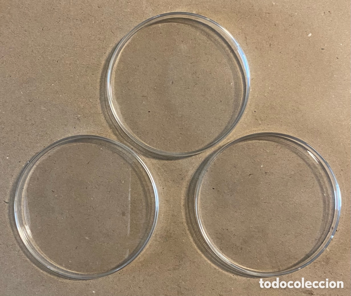Antig&uuml;edades: CONJUNTO DE 3 PLACAS DE PETRI. MATERIAL DE LABORATORIO. - Foto 1