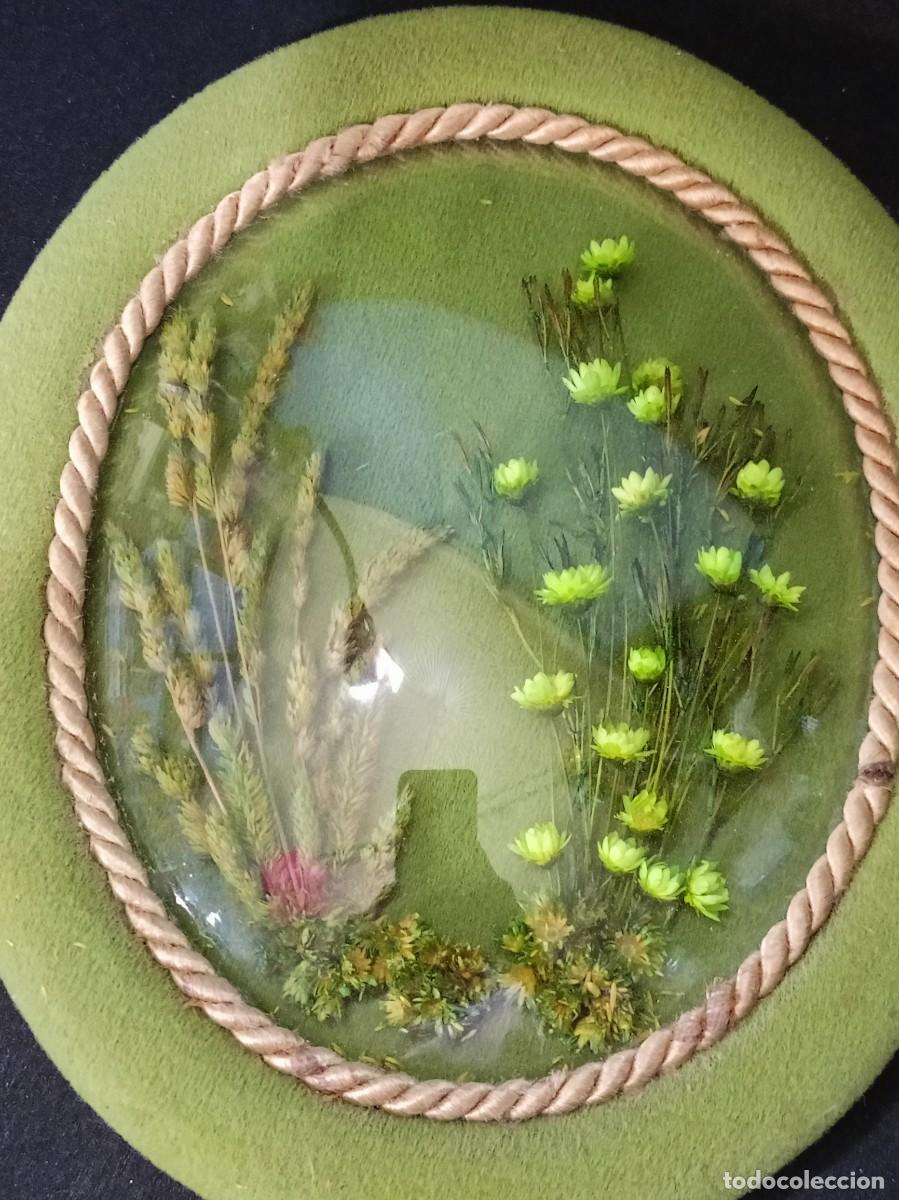 Antig&uuml;edades: flores secas enmarcadas en cristal - Foto 1
