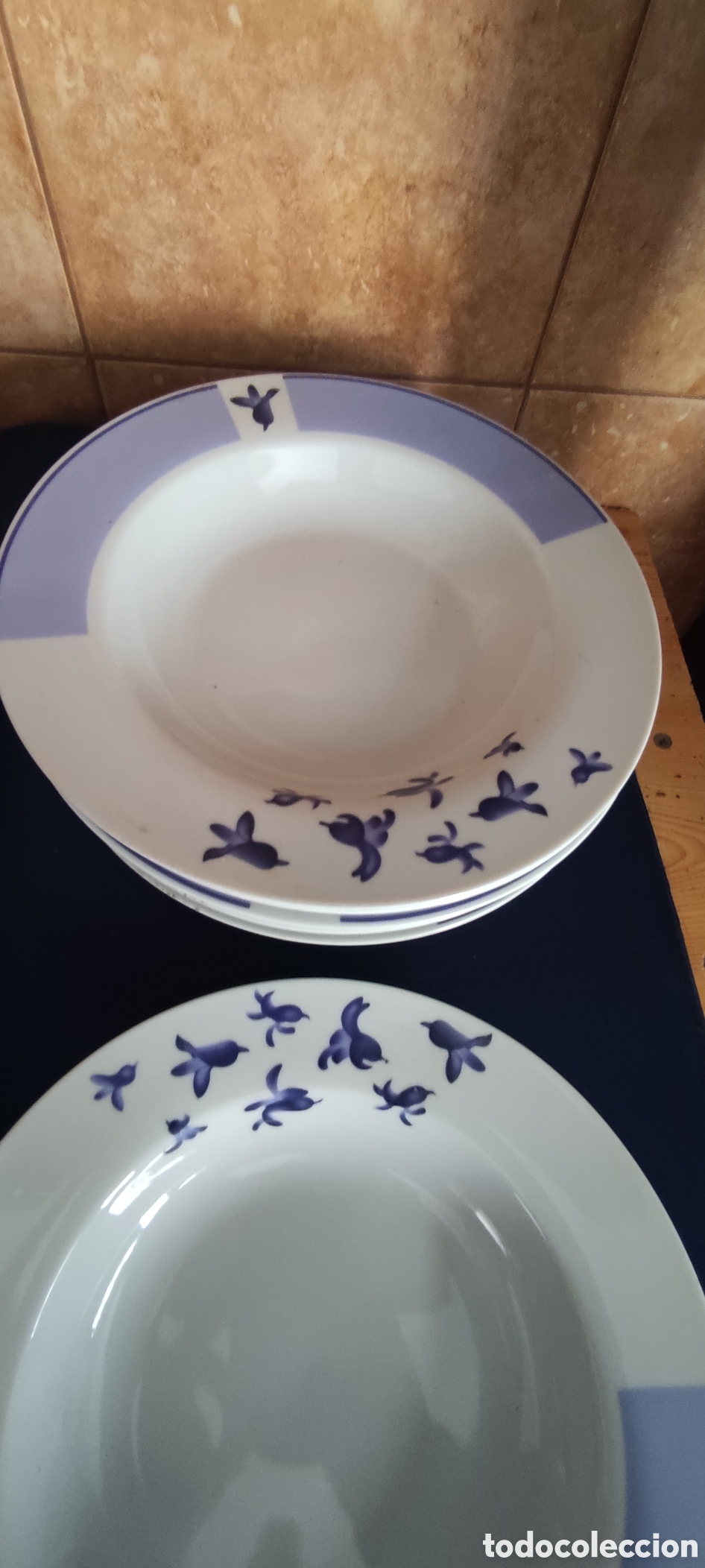 Antig&uuml;edades: Conjunto 10 platos porcelana - Foto 2