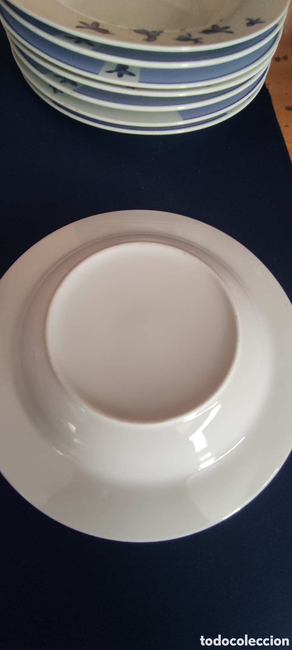 Antig&uuml;edades: Conjunto 10 platos porcelana - Foto 3