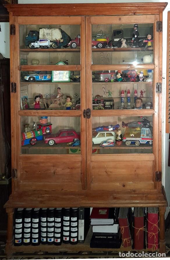 Antig&uuml;edades: VITRINA DEL SIGLO XIX. - Foto 1