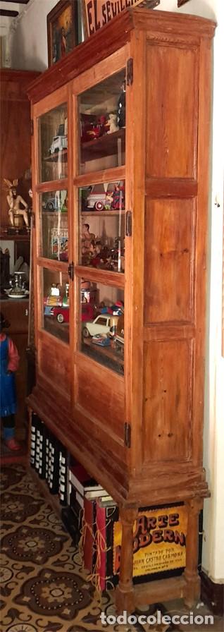 Antig&uuml;edades: VITRINA DEL SIGLO XIX. - Foto 2