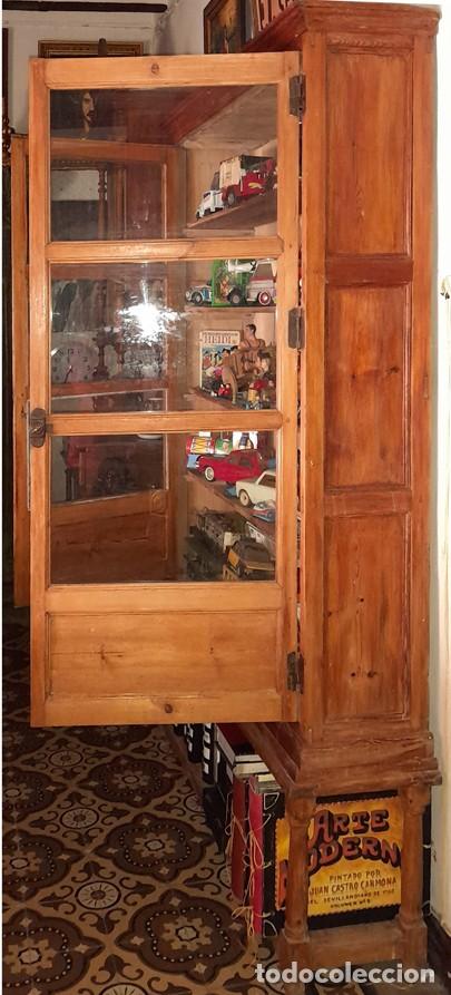 Antig&uuml;edades: VITRINA DEL SIGLO XIX. - Foto 3