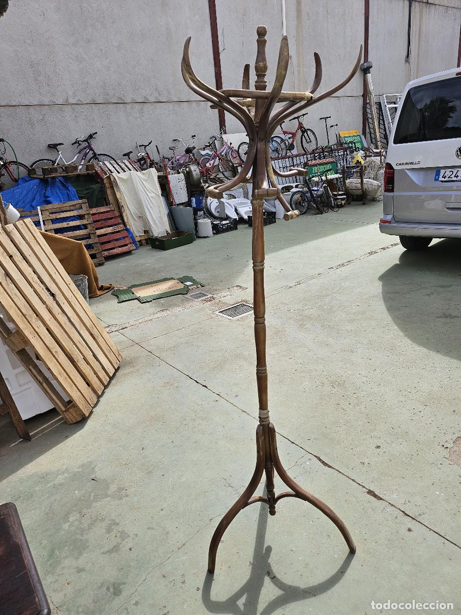 Antig&uuml;edades: perchero antiguo de arbol - Foto 1