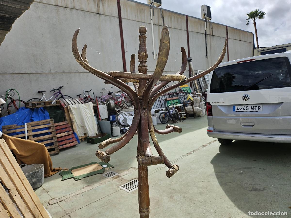Antig&uuml;edades: perchero antiguo de arbol - Foto 2