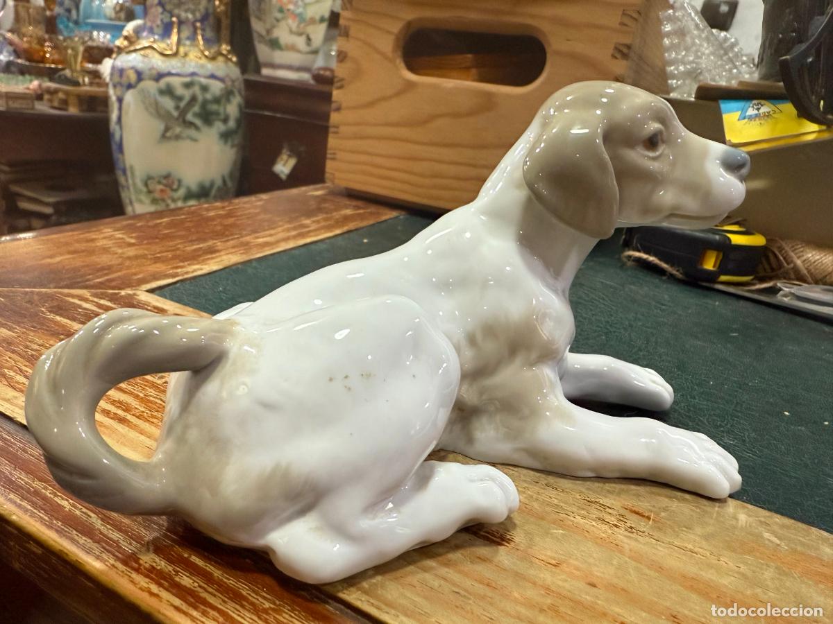 Antig&uuml;edades: PERRO CERAMICA LLADRO - MEDIDA 19 CM - Foto 3