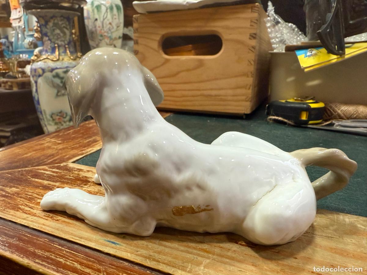 Antig&uuml;edades: PERRO CERAMICA LLADRO - MEDIDA 19 CM - Foto 4