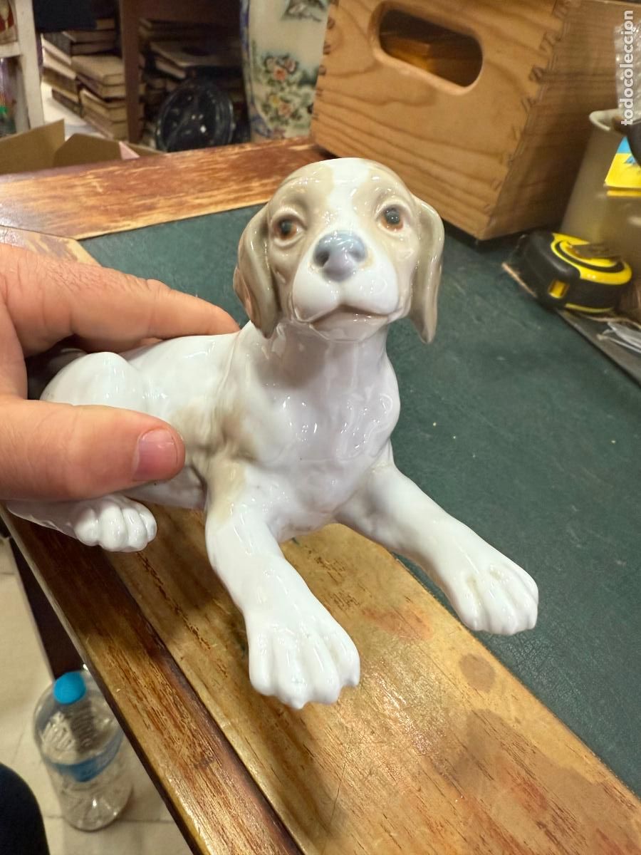 Antig&uuml;edades: PERRO CERAMICA LLADRO - MEDIDA 19 CM - Foto 6