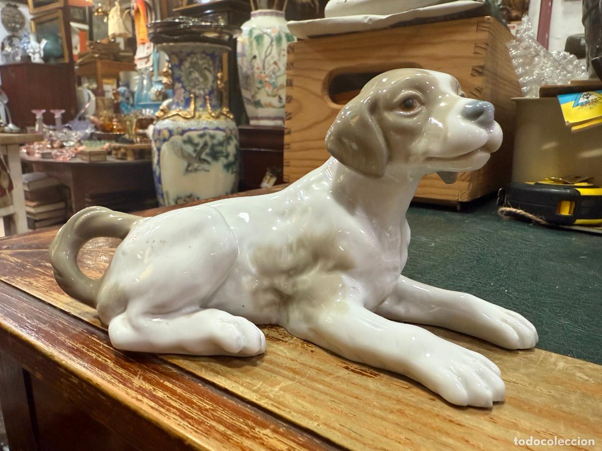Antig&uuml;edades: PERRO CERAMICA LLADRO - MEDIDA 19 CM - Foto 1