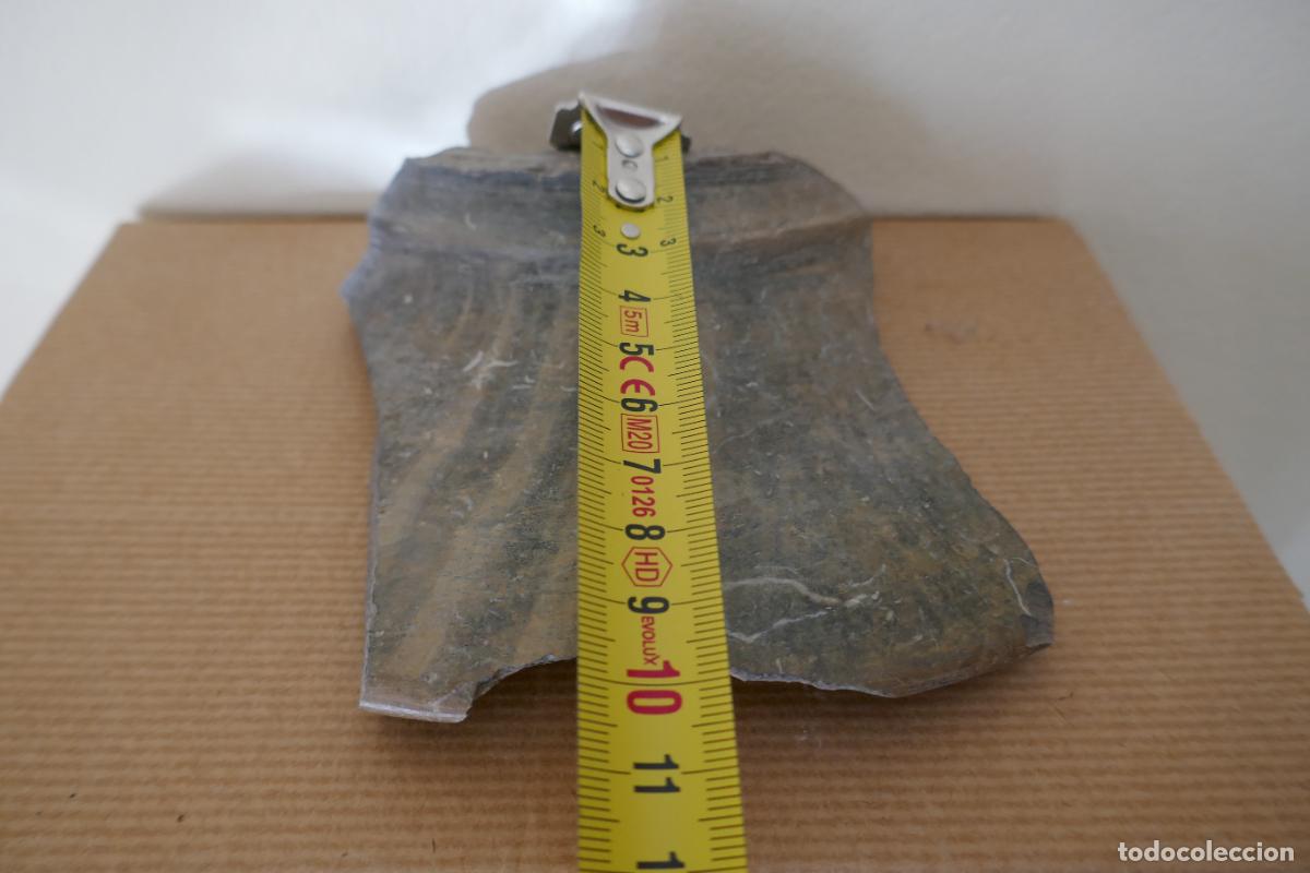 Antig&uuml;edades: Arqueolog&iacute;a: Trozo de Vasija de Per&uacute;. - Foto 9