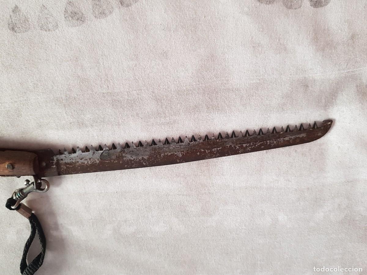 Antig&uuml;edades: SIERRA ANTIGUA PLEGABLE - Foto 7
