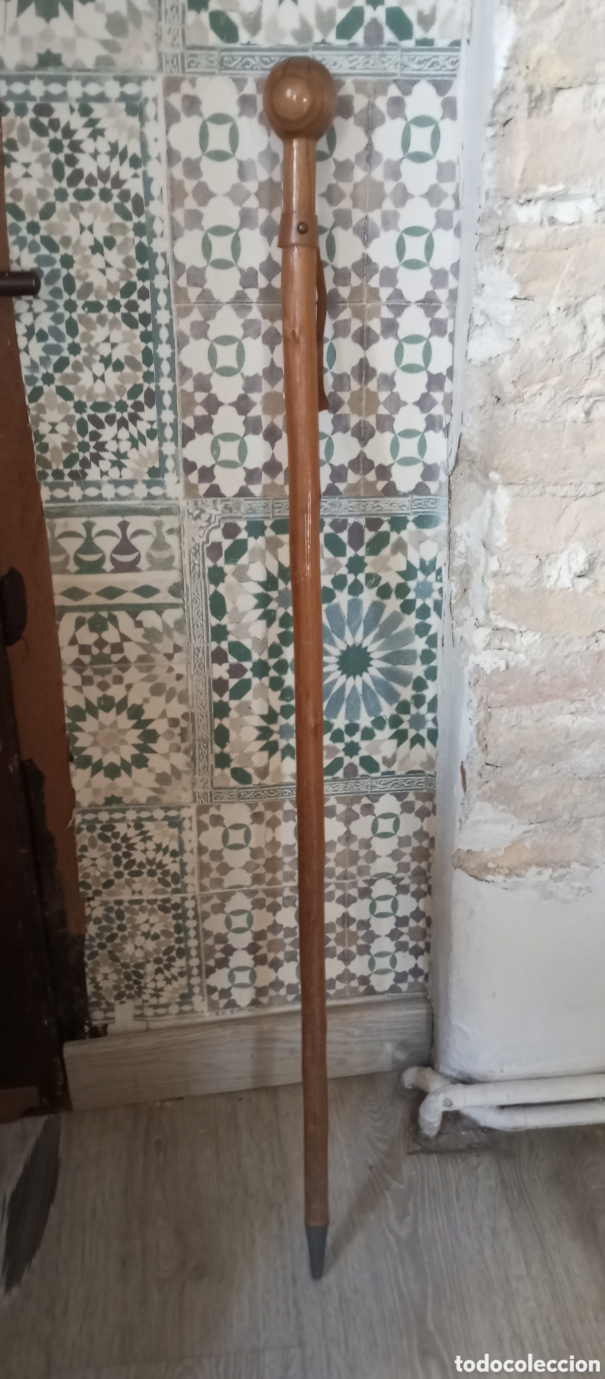 Antig&uuml;edades: Bast&oacute;n de monta&ntilde;a punta de metal - Foto 1