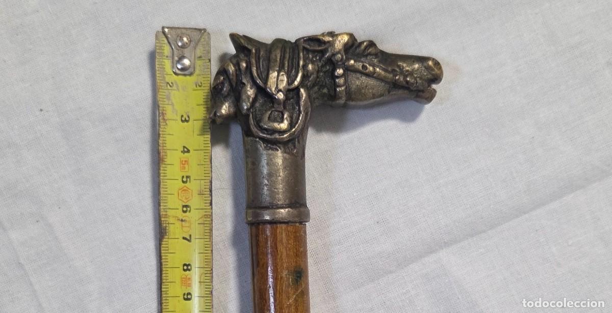 Antig&uuml;edades: Baston con pomo en forma de cabeza de caballo y perro - Foto 10
