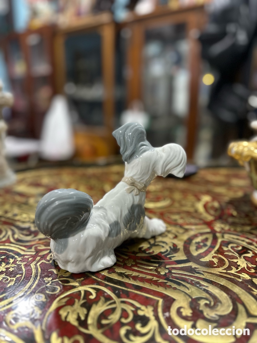 Antig&uuml;edades: Perrito porcelana Lladr&oacute; - Foto 2
