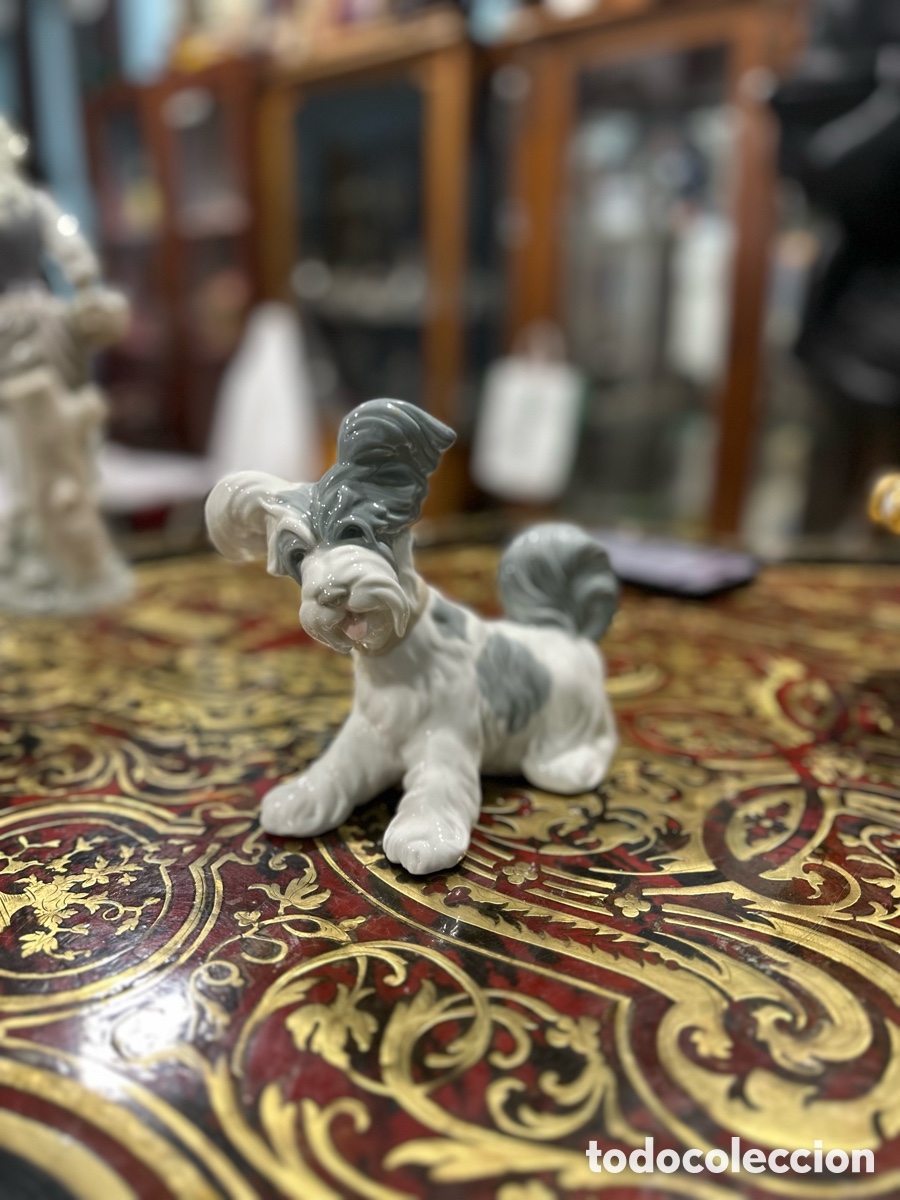 Antig&uuml;edades: Perrito porcelana Lladr&oacute; - Foto 1