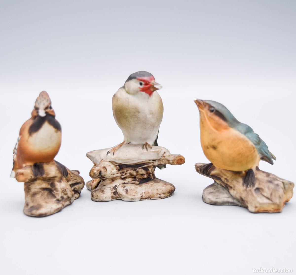 Antig&uuml;edades: Capodimonte - Figuras de aves de porcelana biscuit - Foto 4