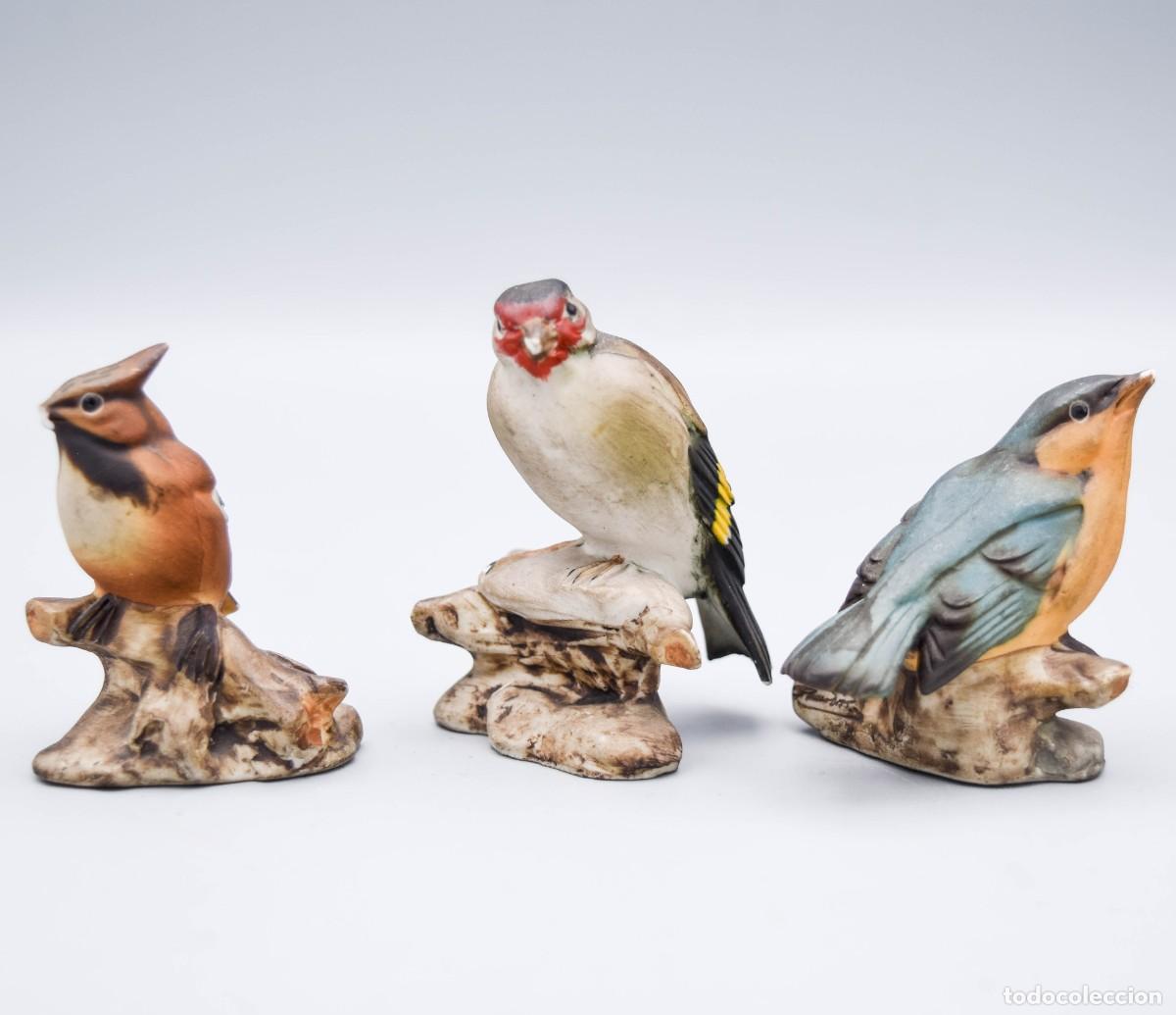 Antig&uuml;edades: Capodimonte - Figuras de aves de porcelana biscuit - Foto 7