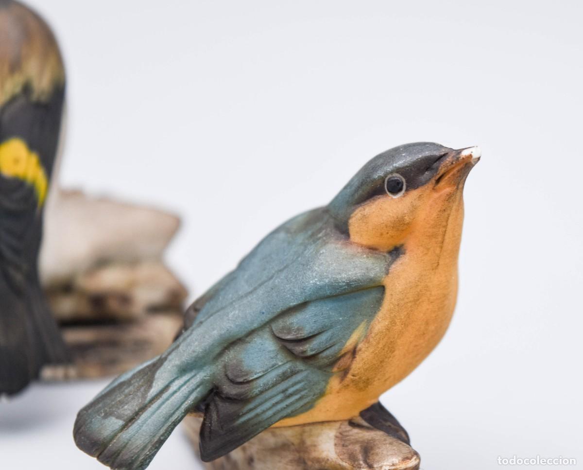 Antig&uuml;edades: Capodimonte - Figuras de aves de porcelana biscuit - Foto 9