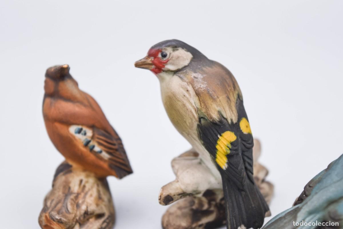 Antig&uuml;edades: Capodimonte - Figuras de aves de porcelana biscuit - Foto 10