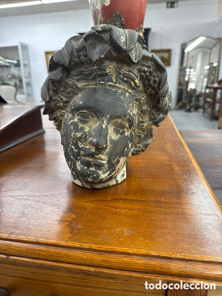 Oggetti Antichi: Cabeza antigua de escayola