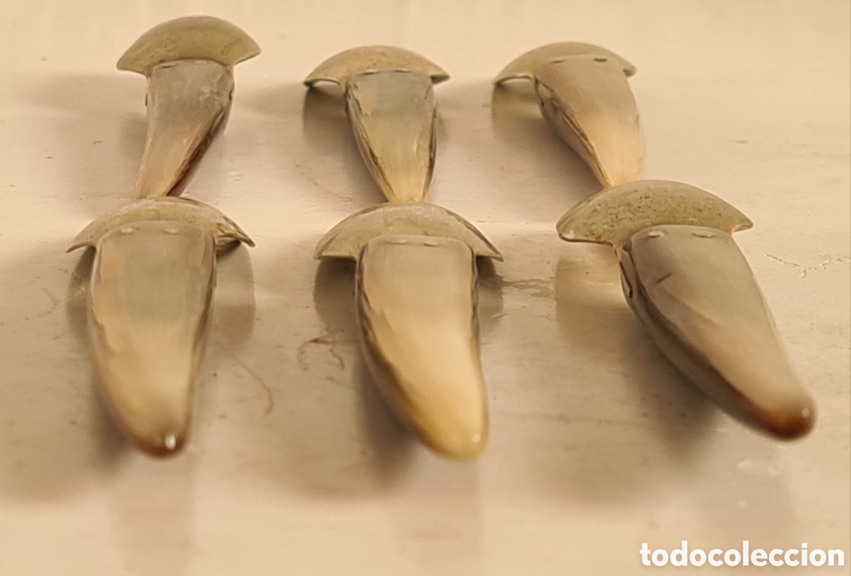 Antig&uuml;edades: 6 Cucharitas de Asta - Decoraci&oacute;n R&uacute;stica - Foto 10