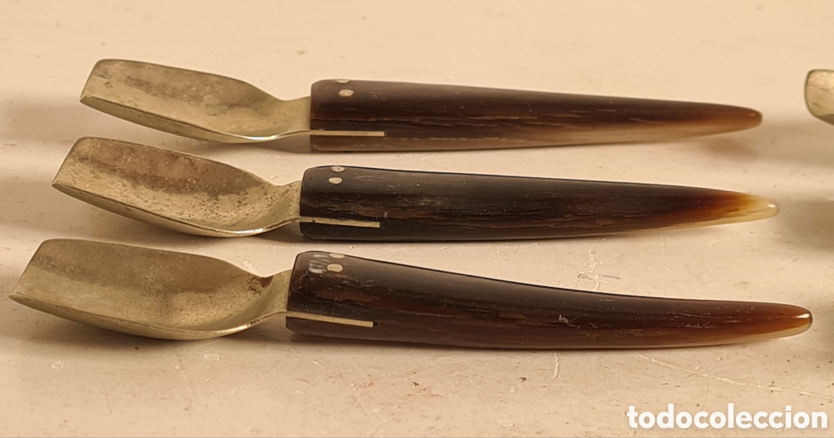 Antig&uuml;edades: 6 Cucharitas de Asta - Decoraci&oacute;n R&uacute;stica - Foto 12