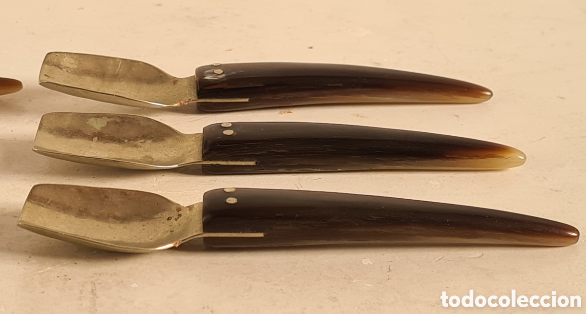 Antig&uuml;edades: 6 Cucharitas de Asta - Decoraci&oacute;n R&uacute;stica - Foto 13