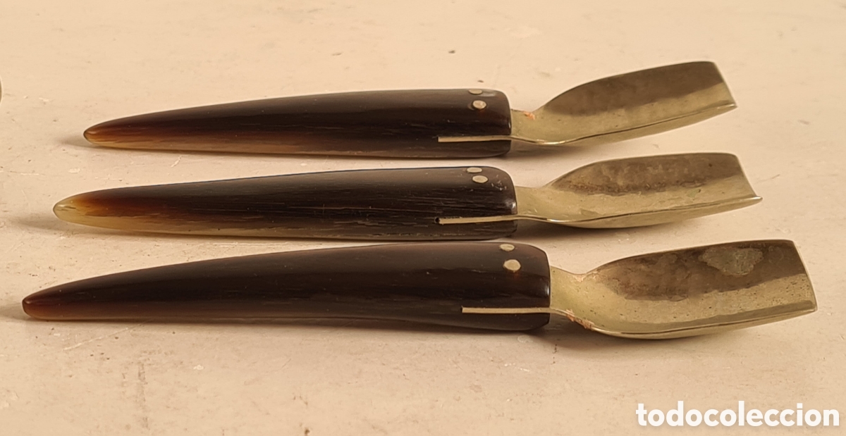 Antig&uuml;edades: 6 Cucharitas de Asta - Decoraci&oacute;n R&uacute;stica - Foto 16
